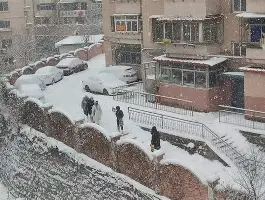 球盟会官网-辽宁男篮签下新大外援